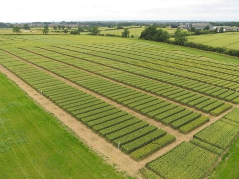 Destinatiile terenurilor