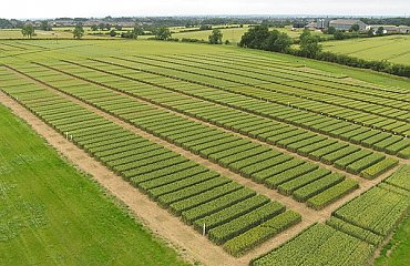 Destinatiile terenurilor