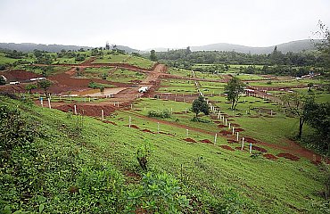 Categoriile de folosinta